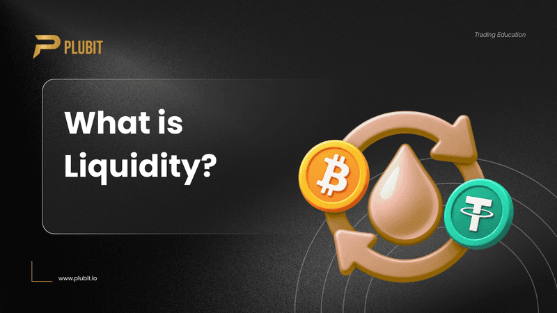 What Is Liquidity?