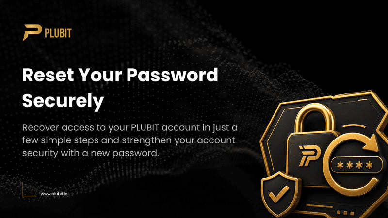 How to Reset Your Password on PLUBIT Exchange