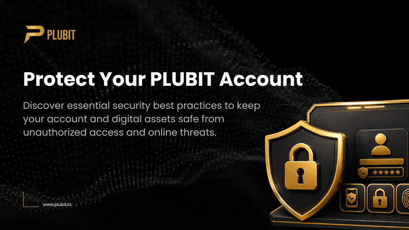 How to Secure Your PLUBIT Account